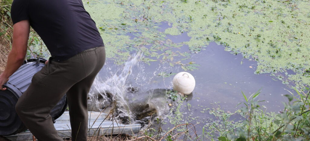 Sauvegarde des poissons ©SMMAR EPTB Aude
